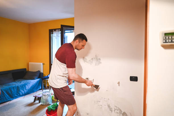Mold Removal Process in Royse City, TX